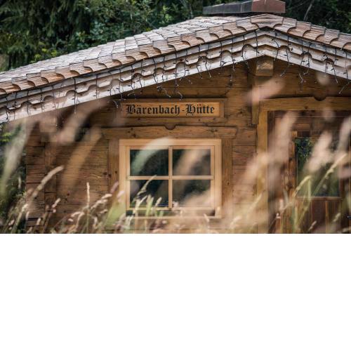 Bärenbach - Almhütte Saalbach