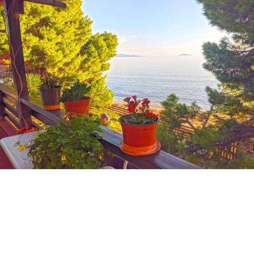 Barlee II Beach Front House, Metamorfosi