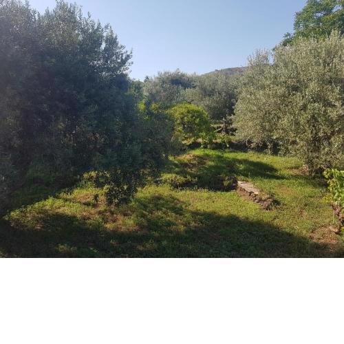 Barondi Holiday House