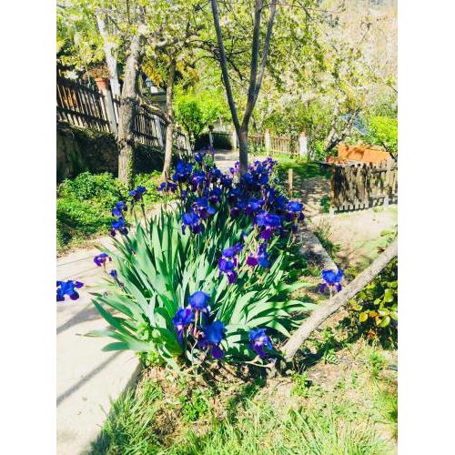 Barranco de la Salud