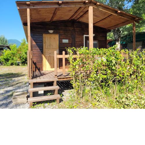 Barumi-Bungalow Michelangelo