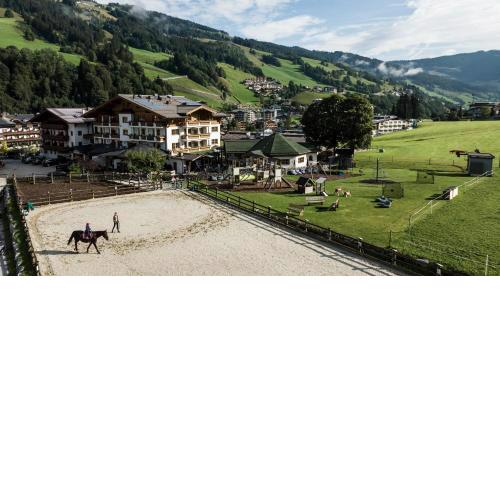 Bauernhof Hotel Oberschwarzach