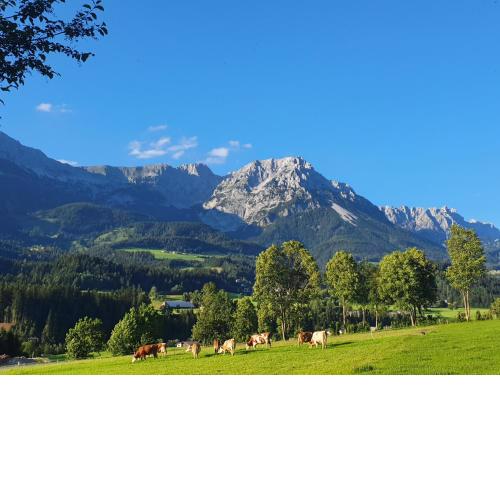 Bauernhof Neu-Endfelden, Günter Widauer