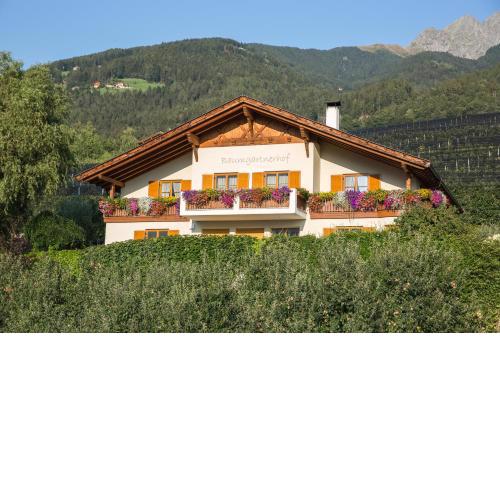 Baumgartnerhof