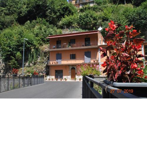 B&B 40 Steps