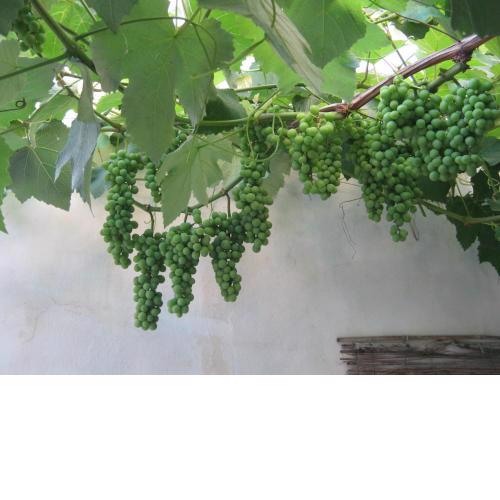 B&B A casa delle zie