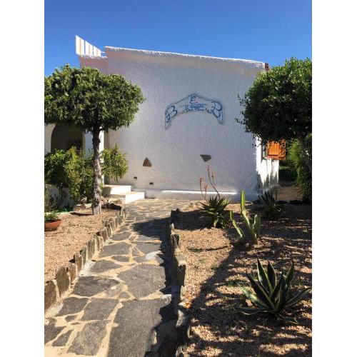 B&B A DUE PASSI DAL MARE