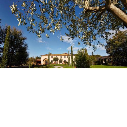 B&B ai Condotti di Pisa da Filippo