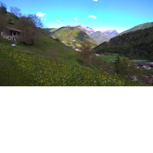 B&B ai Pini