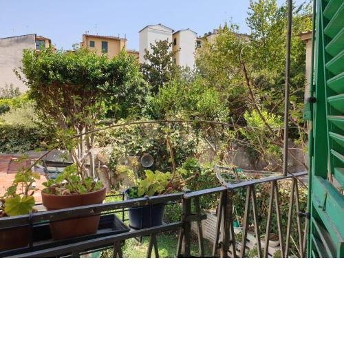 B&B Air Green Serragli