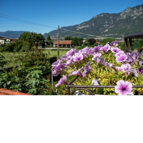 B&B Al Cortile del Bertolet