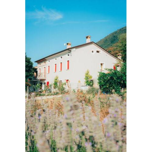 B&B Al Giardino dei Laghi