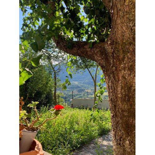 B&B Al San Francesco