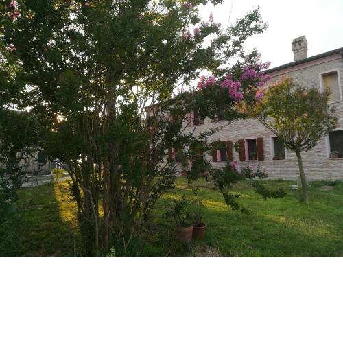 B&B Al Vecchio Noce