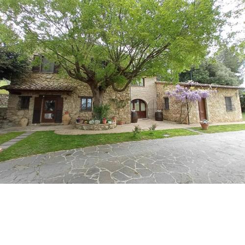 B&B All'Ombra di San Damiano