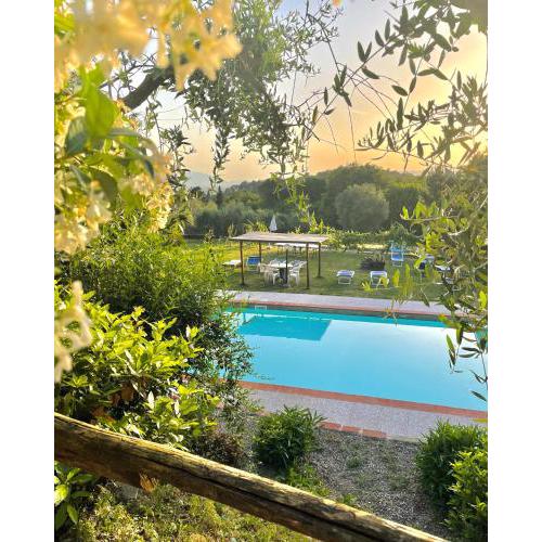 B&B Alloro