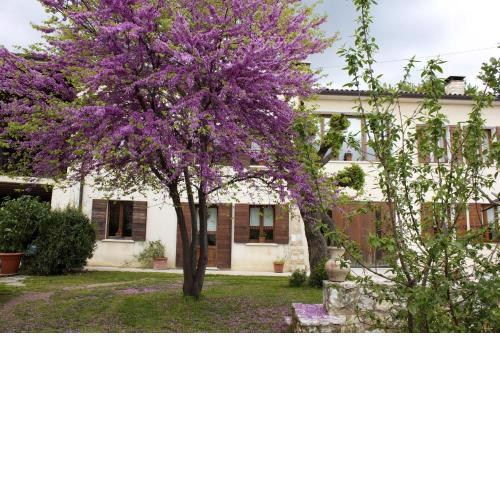 B&B Altè