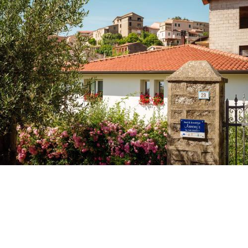 B&B Armony Bono
