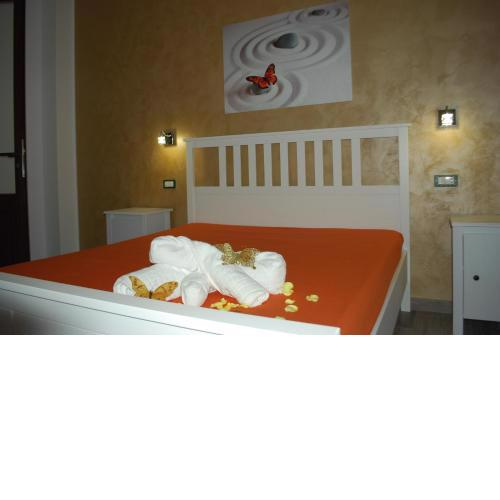 B&B Aurora