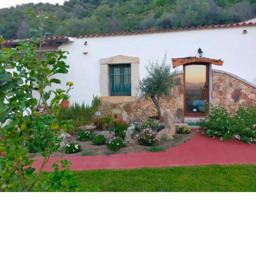 B&B Bellavista
