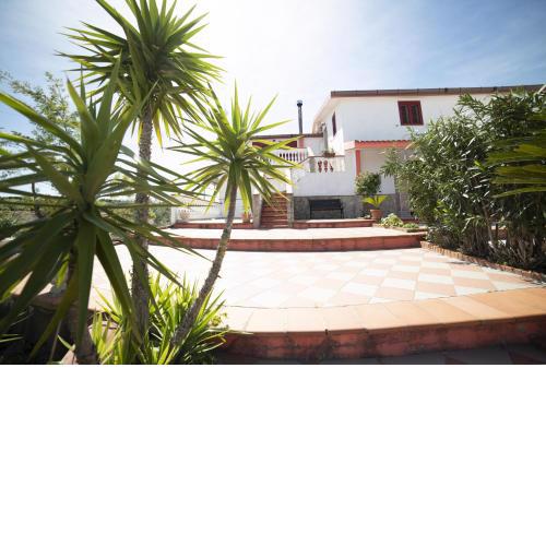 B&B Belvedere