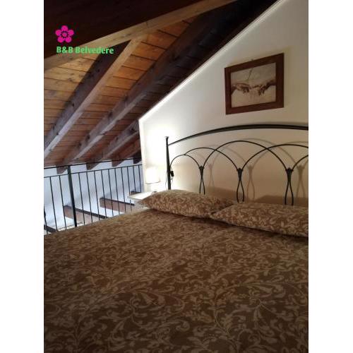 B&B Belvedere