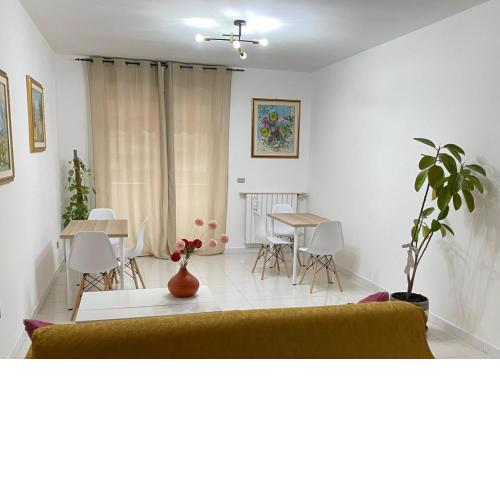 B&b Binario38