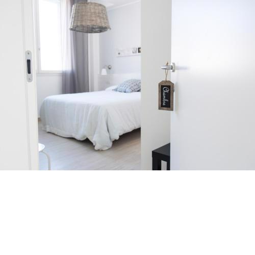 B&B Bucci 54