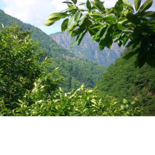 B&B CA' DEL PITUR CICOGNA