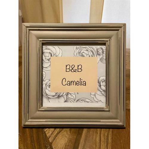 B&B Camelia