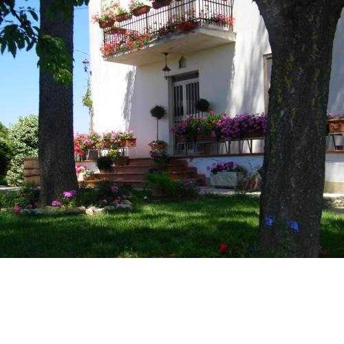 B&B Casa Losea