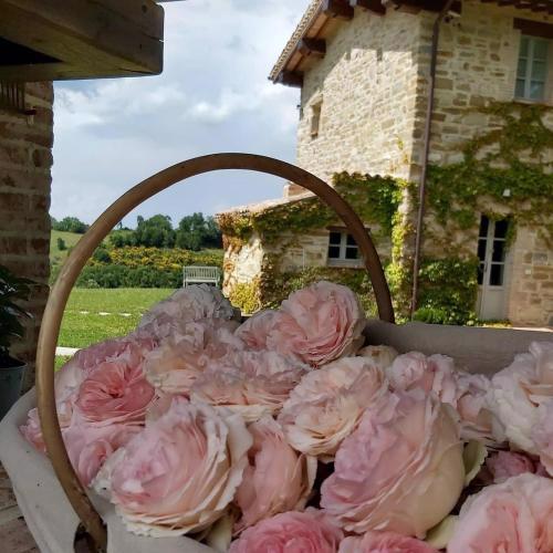 B&B Cascina Artemisia