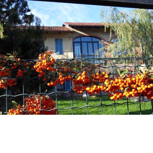 B&B Cascina Marie
