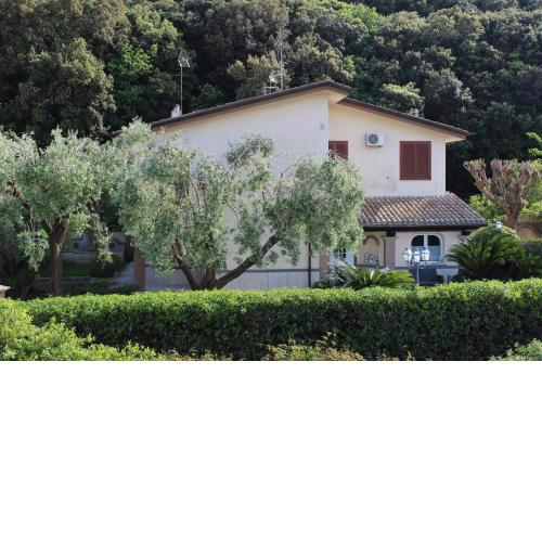 B&B Cavalieri