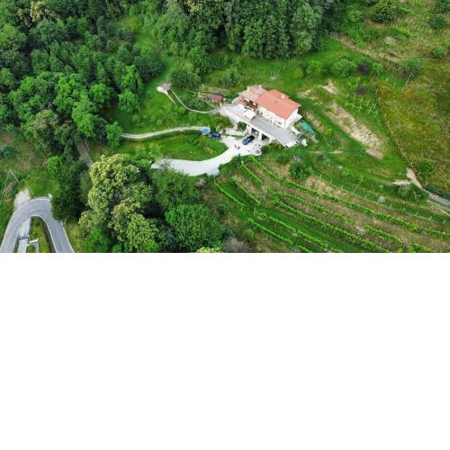 B&B Cocodè