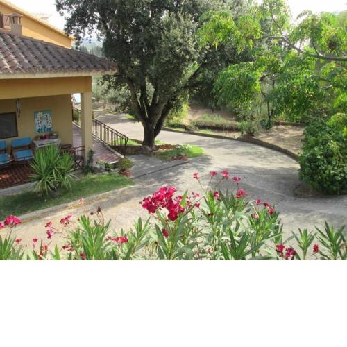 B&B Coldulivo