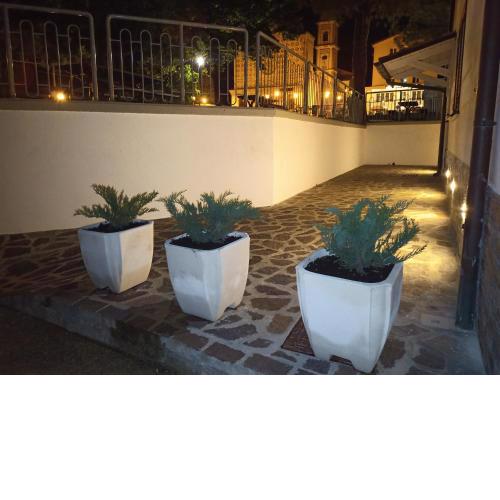 B&B COLLE TARIGNI