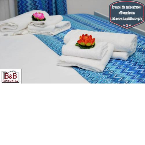 B&B Cornelia