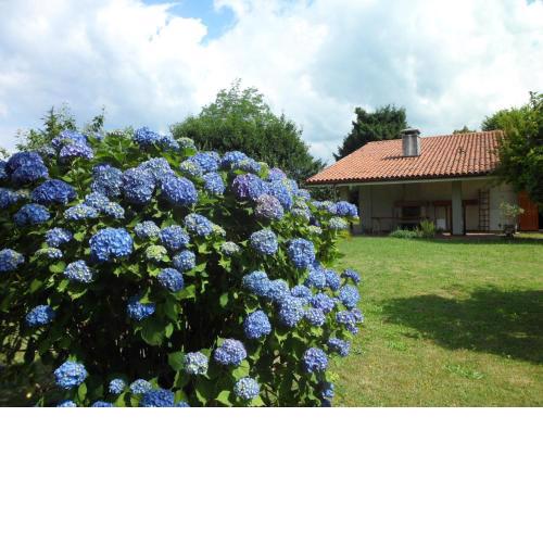 B&B Cuei di Baret