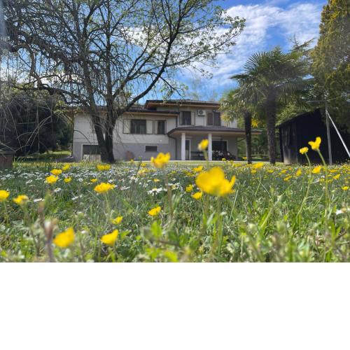 B&B Da Leone