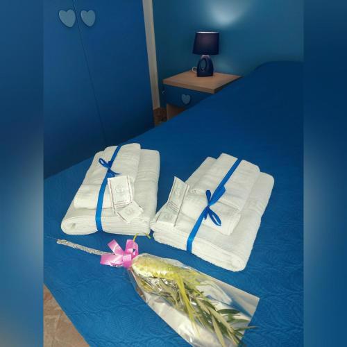 B&B D'Amico87