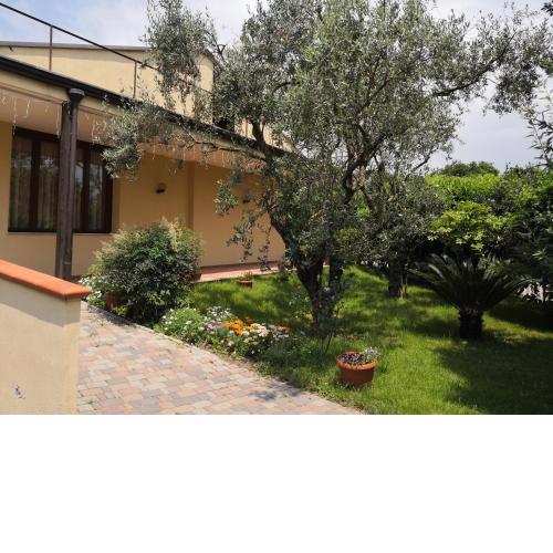 B&B D'Avino