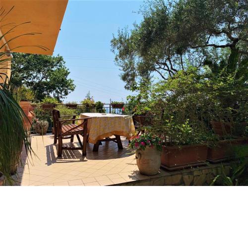 B&B dei Fiori