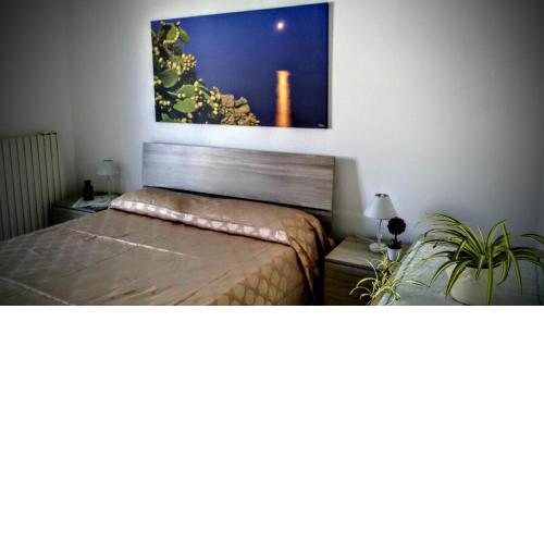 B&B Delfis II