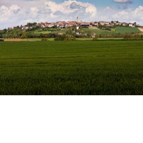 B&B di Spineto