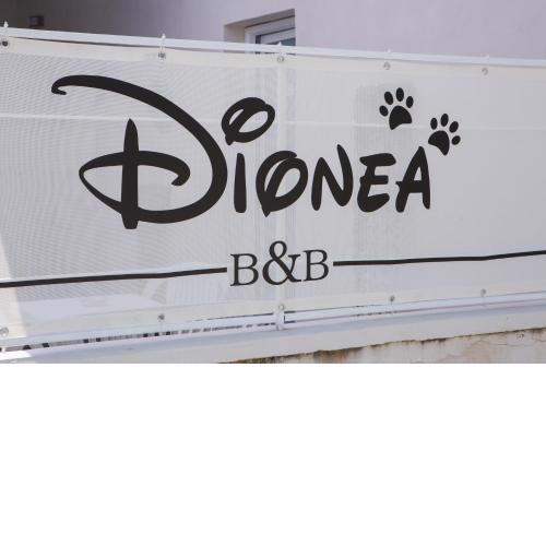 B&B Dionea