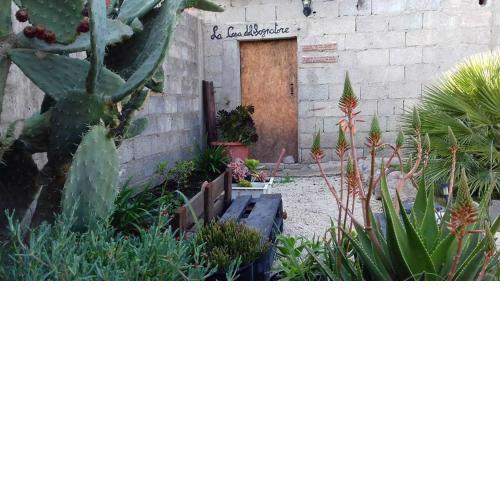 B&B Domu Delunas