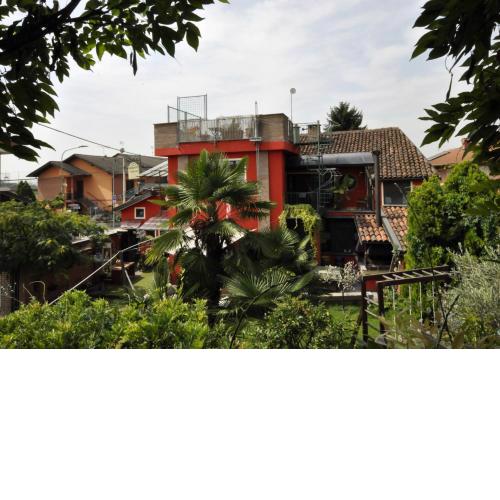 B&B Edera