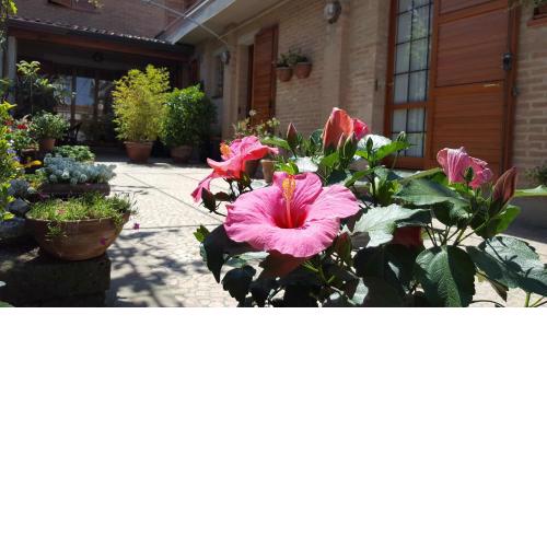 B&B ENSILEVA BEACH