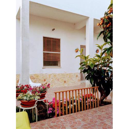 B&B Fenice Barocca